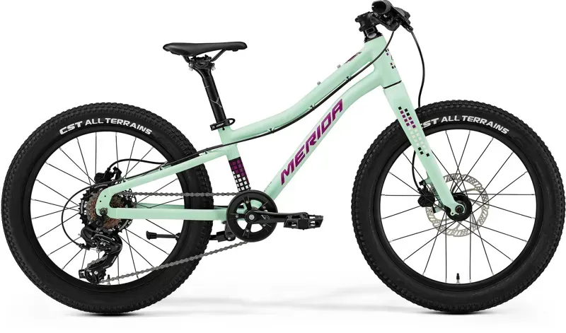 Merida Matts J.20+ Kids Bike In Matt Mint/Purple/White/Black