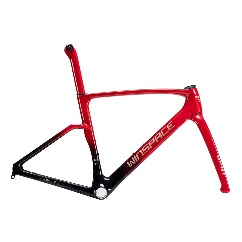 Winspace Agile Carbon Frameset-2