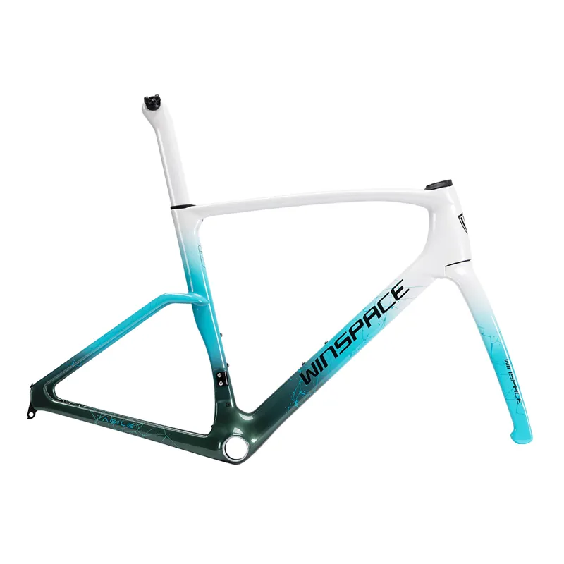 Winspace Agile Carbon Frameset-3