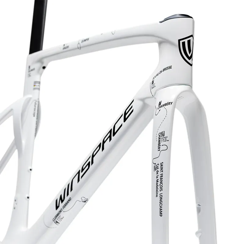 Winspace T1600 White Carbon Frameset-1