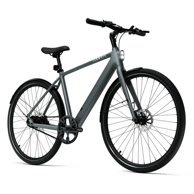 TENWAYS CGO600 PRO PEBBLE GREY-1